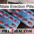 Male Erection Pills 05